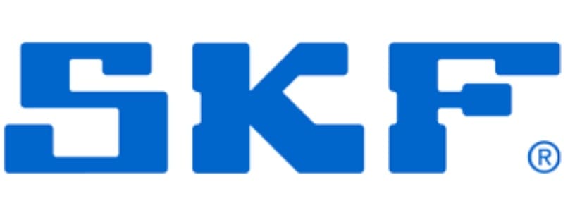 SKF.jpg