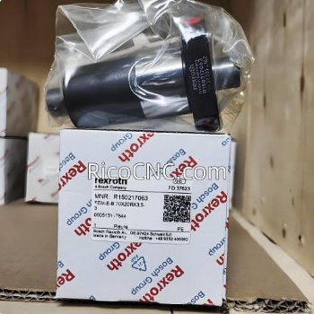 R150317063 R150217063 Bosch Rexroth Ball Screw Nut FEM-E-B 20X20RX3.5-3